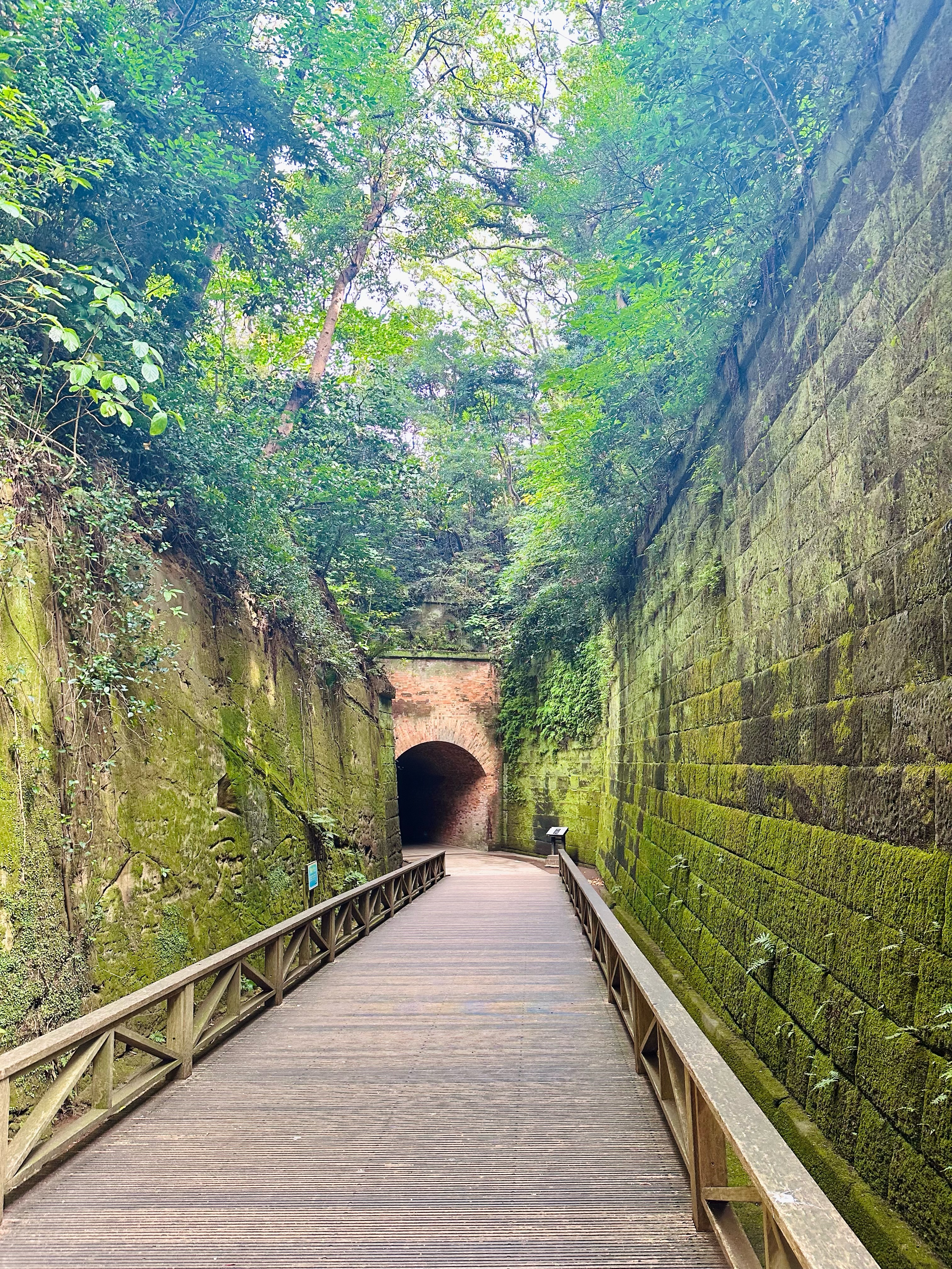 探検ツアー