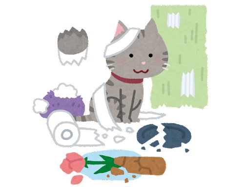 ペット傷